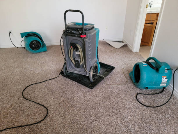 Best Residential water damage restoration  in Sun Lakes, AZ