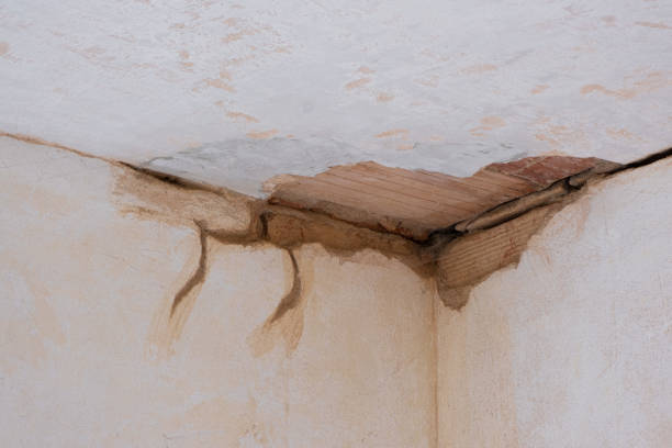  Sun Lakes, AZ Water damage restoration Pros