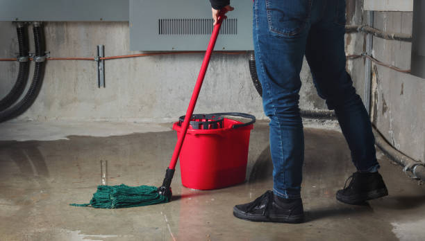 Best Sewage cleanup and water damage restoration  in Sun Lakes, AZ