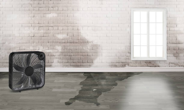 Best Water damage restoration near me  in Sun Lakes, AZ