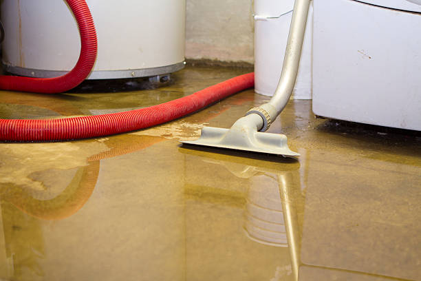 Best Flood restoration services  in Sun Lakes, AZ