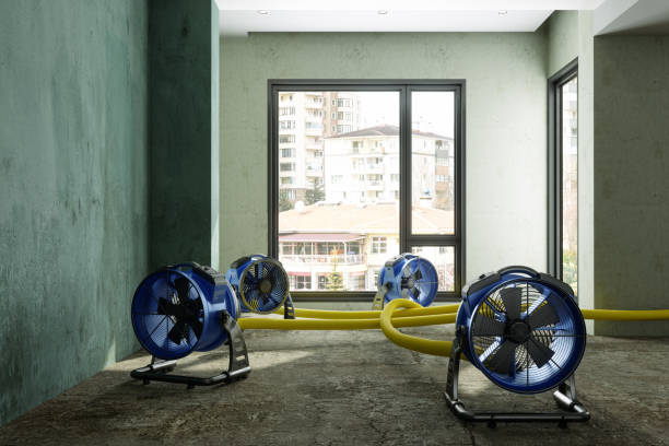 Best 24-hour water damage restoration  in Sun Lakes, AZ