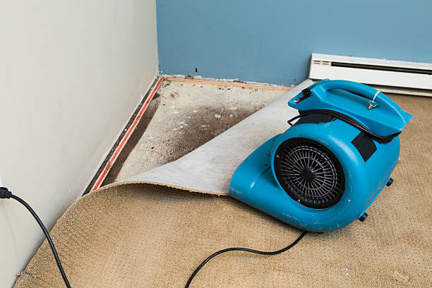 Best Water damage restoration near me  in Sun Lakes, AZ